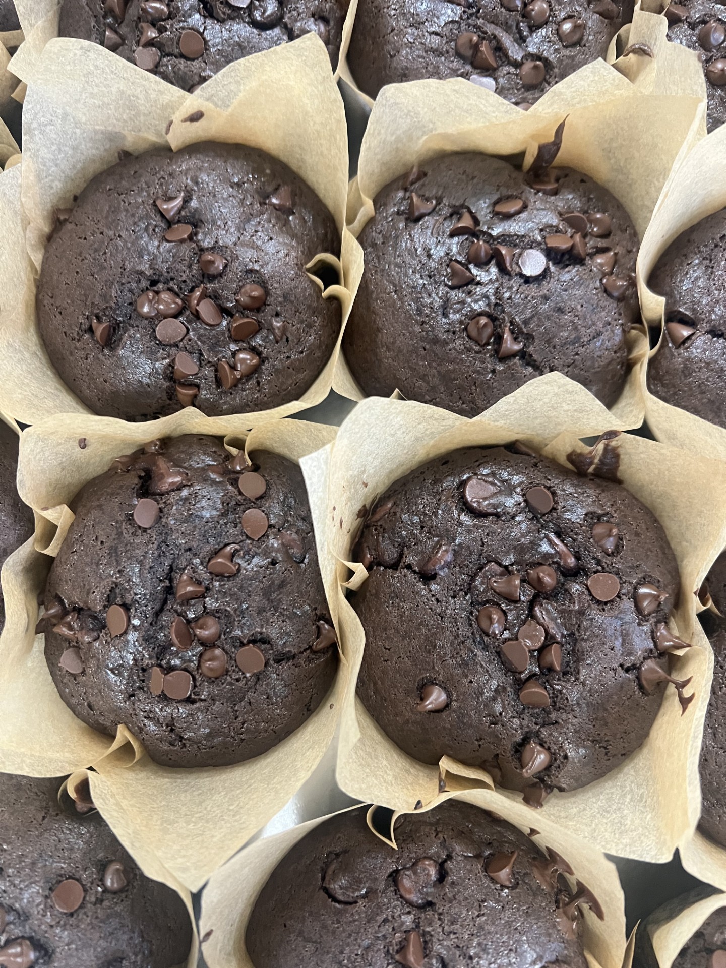 Muffins – Double Chocolate – Box of 4 (Saturday only)
